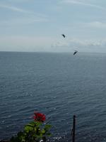 Aussicht beim Mittagessen - Nessebar