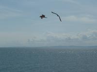 Das Schwarze Meer bei Nessebar