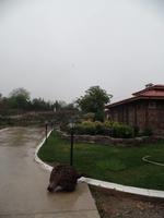 Rosen-Anlage Skobelevo - Bulgarien