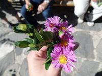 Traditioneller Hochzeitsstrauß Bulgarien