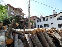 Heizmaterial für den Winter - Melnik