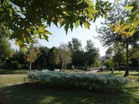 Baba Vanga in Rupite