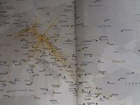 Spinnenwebe der LH !