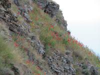 Kap Kaliakra Steilküste