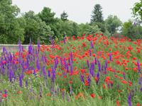 Bulgarien natürlich