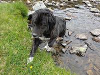 Bulgarien, Maljovitzatal, Eleniosee 