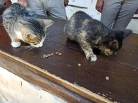 Bulgarien, Rozenkloster