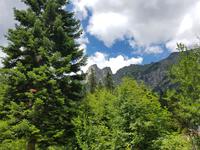 Bulgarien,  Kirilov Wiese