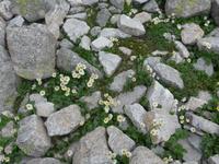 Bulgarien, Wanderung zum Musala