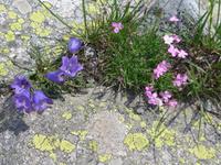 Bulgarien, Wanderung zum Musala