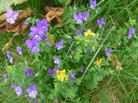 Bulgarien, Wanderung im Maljovitza Tal