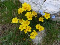 Bulgarien, Pirin, Wanderung zum Vichren