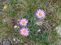 Bulgarien, Pirin, Wanderung zum Vichren