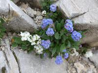 Bulgarien, Pirin, Wanderung zum Vichren