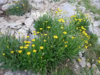 Bulgarien, Pirin, Wanderung zum Vichren