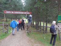 Bulgarien, Belitza Bären Park