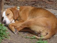 Bulgarien, Belitza , Mittagspause