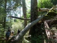 Bulgarien, Wanderung zum Rilakloster