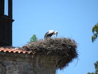 Dreifaltigkeitskirche in Bansko
