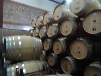 Weinkeller in der Villa Yustina