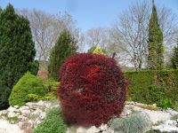 Botanischer Garten in Balchik