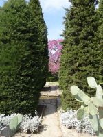 Botanischer Garten in Balchik