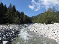 225_im Piringebirge