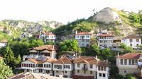 241_Melnik