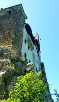 Dracula Schloss in Bran. Rundreise Rumänien und Bulgarien.  &ndash; &copy; Martina Wegener (Eberhardt TRAVEL)