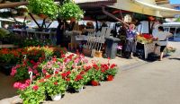 Bauernmarkt. Stadtspaziergang in Sibiu (Hermannstadt). Rundreise Rumänien und Bulgarien.  &ndash; &copy; Martina Wegener (Eberhardt TRAVEL)