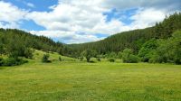Fahrt mit der Schmalspurbahn. Rundreise Rumänien und Bulgarien.  &ndash; &copy; Martina Wegener (Eberhardt TRAVEL)