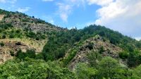Fahrt mit der Schmalspurbahn. Rundreise Rumänien und Bulgarien.  &ndash; &copy; Martina Wegener (Eberhardt TRAVEL)