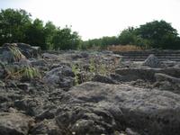 Ruinen der Kathedrale von Pliska