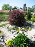 im Botanischen Garten von Baltschik