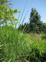 im Botanischen Garten von Baltschik