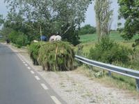 bulgarische Gemütlichkeit