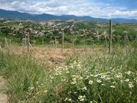 Blick auf Vinogradi in der Nähe von Melnik