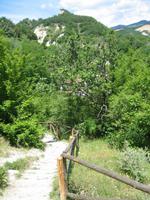 Weg zum Rozhen-Kloster