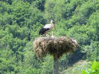 230_Ströche so weit das Auge reicht