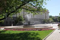 279_Sofia - Foto von Roland Musiol