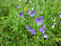 Rila National Park - Impressionen