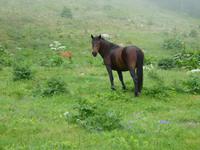 Rila National Park - Impressionen