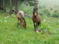 Rila National Park - Impressionen
