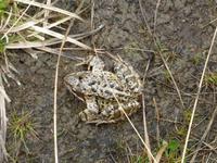 Rila National Park - Impressionen