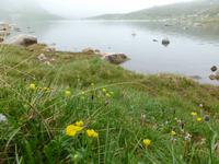 Rila National Park -  7 Seen 