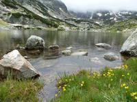 Rila National Park -  7 Seen 