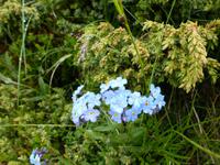 Rila National Park - Impressionen