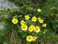 Rila National Park -  7 Seen  Impressionen