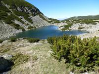 unterhalb vom Gipfel Musala  