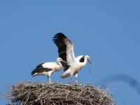  Ich flieg gleich los......